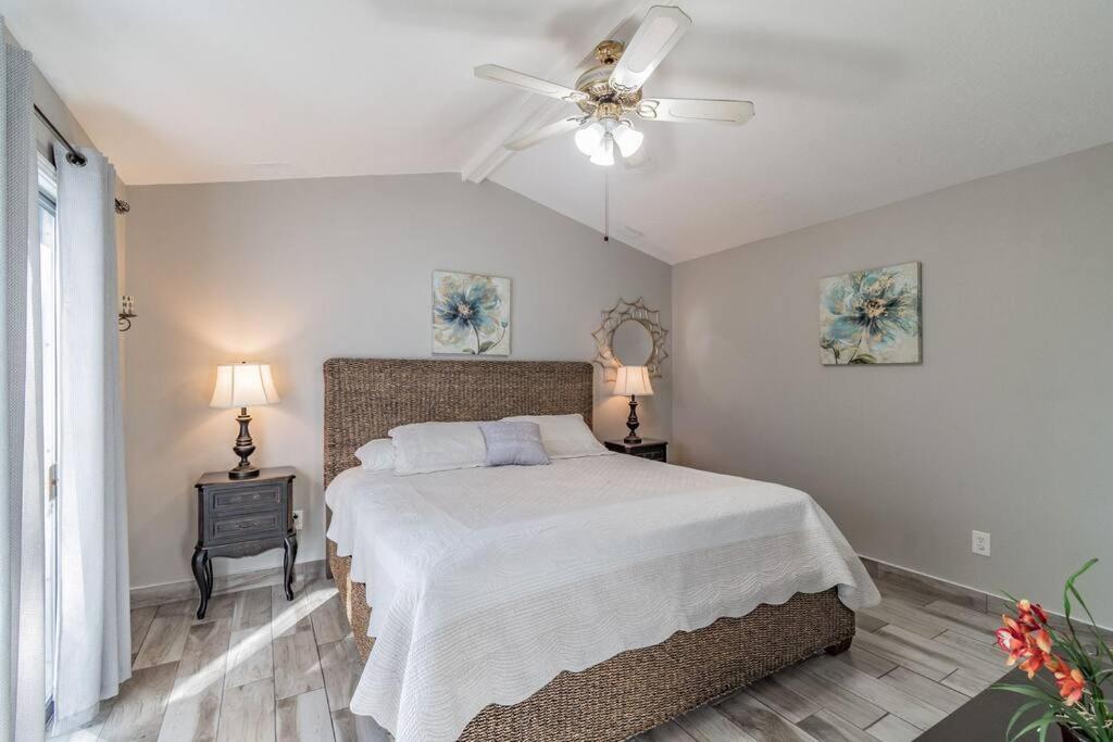 Town 'N' Country Cozy Corner, Your Florida Fun Hub Villa Tampa Eksteriør billede